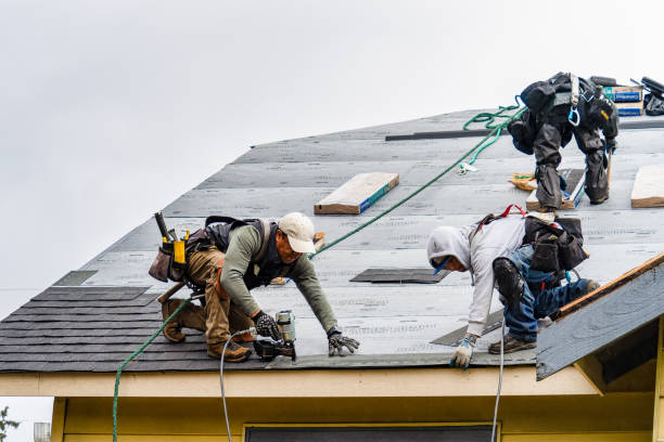 Professional Flat Roof Repair technician working in Gibsland, LA